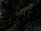 kesselalm/16.jpg