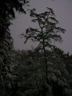 kesselalm/6.jpg