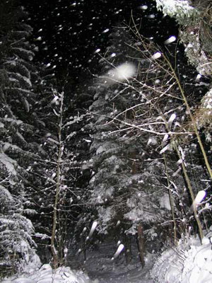 startbild